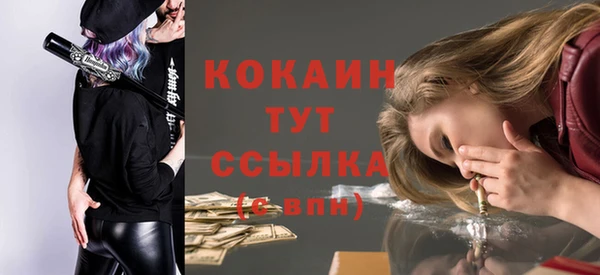 крисы Армянск