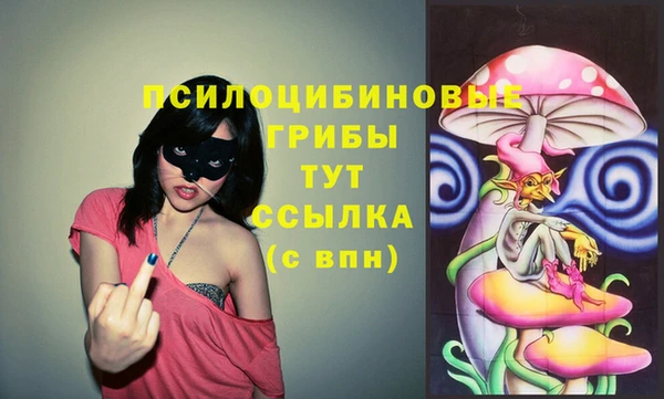 крисы Армянск