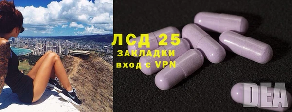 крисы Армянск