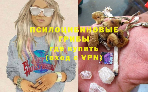 мескалин Арсеньев