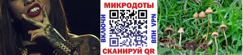 Галлюциногенные грибы ЛСД  Очёр 